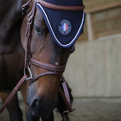 للبيع أنتاريس شريط أنف فلاش Bridle BR20