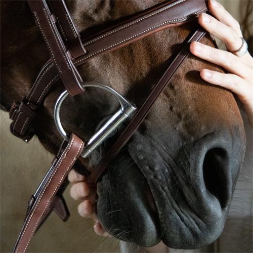 للبيع أنتاريس شريط أنف فلاش Bridle BR20