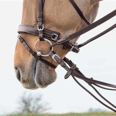 للبيع مقاليد السحب منequistore.me لمعدات الفروسية