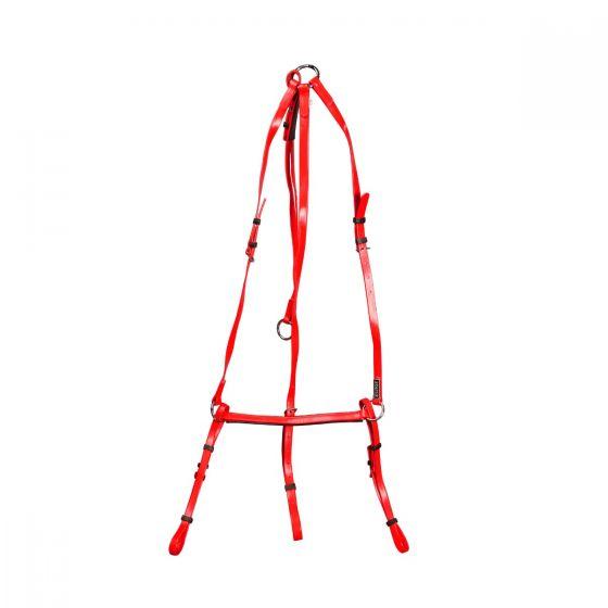 للبيع درع Status PVC مع مارتينجال من Tack &Track لمعدات الفروسية