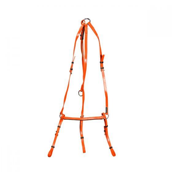 للبيع درع Status PVC مع مارتينجال من Tack &Track لمعدات الفروسية