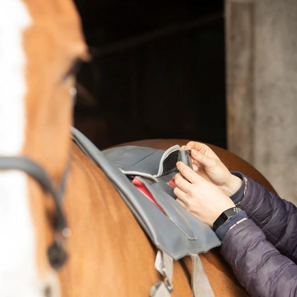 للبيع وسادة التدليك القياسية من eQuestri لمستلزمات الفروسية