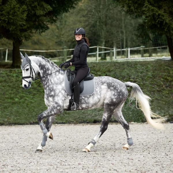 للبيع وسادة هورز أديبتو لجميع الأغراض من eQuestri لمستلزمات الفروسية