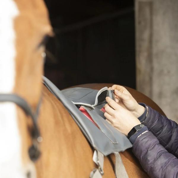 للبيع وسادة تدليك التوازن من eQuestri لمستلزمات الفروسية
