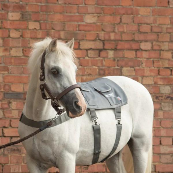 للبيع وسادة تدليك التوازن من eQuestri لمستلزمات الفروسية