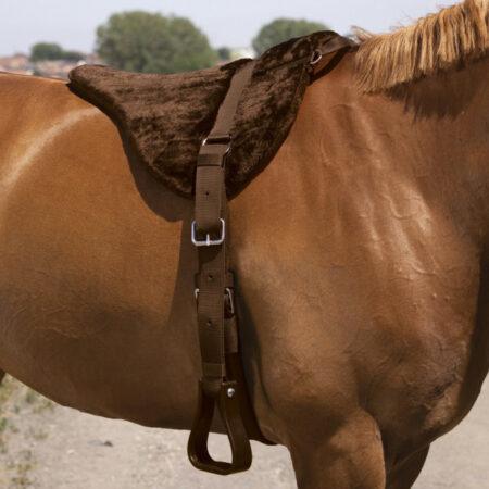 للبيع سرج ركوب الخيل من equistore.me لمعدات الفروسية