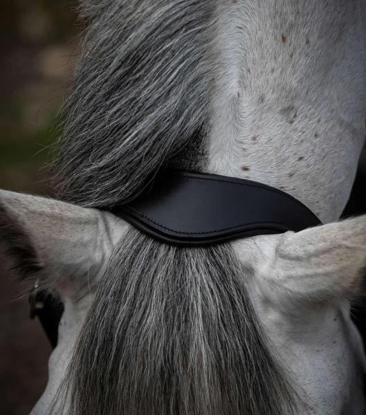 للبيع طوق رأس جلدي تشريحي من eQuestri لمستلزمات الفروسية