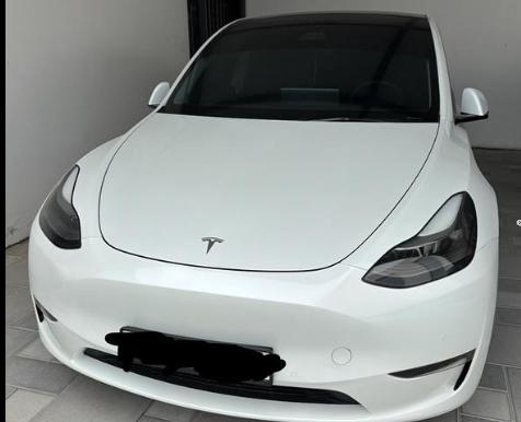 Tesla model Y performance 2022