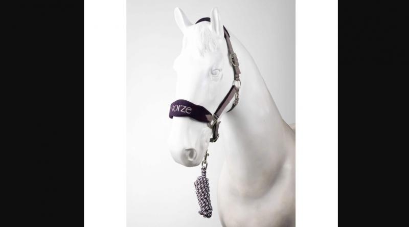للبيع طقم لجام وحبل من هورز ماجيك من equistore.me لمستلزمات الخيل