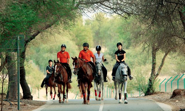 مراكز تدريب ركوب الخيل في دبي