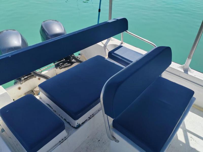 للبيع قارب Barracuda 31 قدم ممتاز للصيد	المحركات 2 × Yamaha 115 حصان (4-stroke) موديل 2016